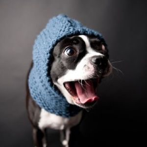 Meet your Posher, Bianca